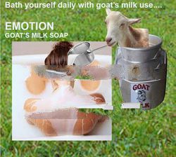 Goat's Milk Soap