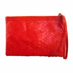 Snake Skin Clutch bag