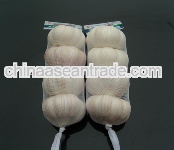 loose Packing Chinese natural Garlic