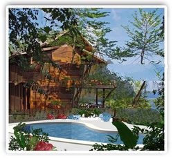 wooden house