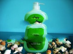 HIN1 influenza A Hygiene Shower Foam 99.9%