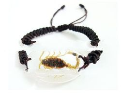Real Insect Amber Bracelet Fashional Jewellery(crafts,gifts,souvenir ,novelties,gift promotion)
