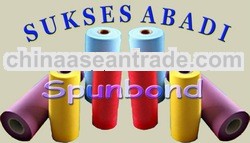 Spunbond Non Woven