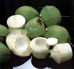 K.E. Sepakat Young Coconut