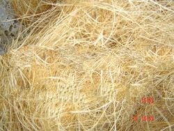 Coconut Fibre