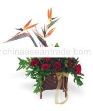 table arrangement flowers GBMC 8
