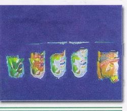 Philippine Brand Nata De Coco