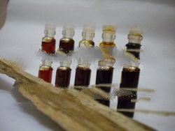 Oudh Oil / Agarwood Oil / Minyak Gaharu