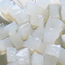 Nata de Coco