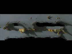 Assorted Shells Pack 03