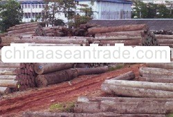 Logs,veneer,plywood,sawn timber