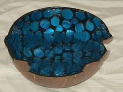 coconut seashell bowl