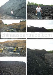  Steam Coal for Sale