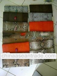 Python Handbag