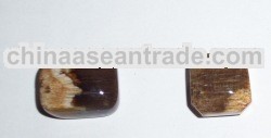 n Bamboo Fossil