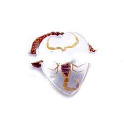 Insect Amber Ring(crafts,gifts,souvenir ,novelties,gift promotion)