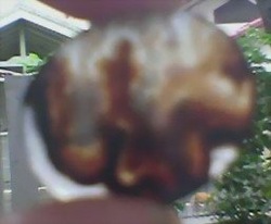 Natural Stone With Word "allah"