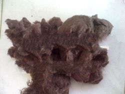Brown Fiber