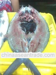 Boneless Bangus (Milkfish)