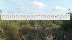 Agriculture land for sale, Bintan Island,
