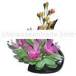 Flowers of Thailand.