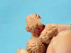 7 mukhi mala japa meditation bhuddhist rudraksh bodhi seeds