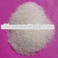monosodium glutamate price