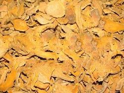 Dry Turmeric