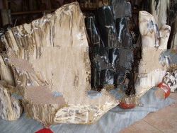 Fossil Stone