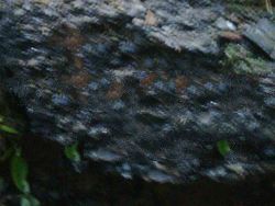 Coal mine for sale in Indoneisa