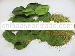 Steam Sterilized Kaffirlime Ground US#20