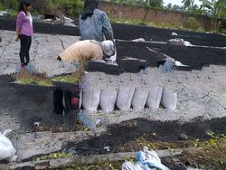 coconut shell charcoal granular