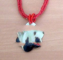 necklace shell with bead