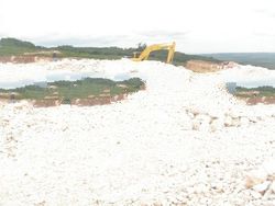 limestone & calcite stone
