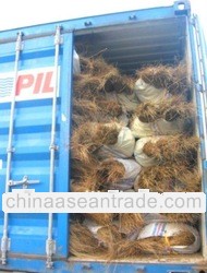 SELL PALM EKEL BROOM STICK (COCOA NUCIFERRA)