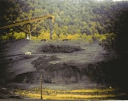 INDONESIAN STEAM COAL 5500