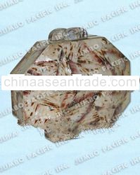 Fashion Bags made of shells in the