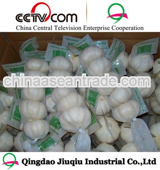 natural garlic crop 2013 market prices price per ton