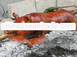 CEBU LECHON BABOY
