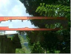 im looking for a financer or investor in my farm