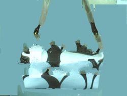 Designers Handbags / Wallet