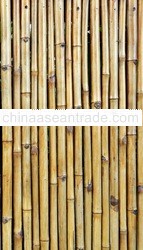 FENCING PANEL BAMBOO BM23