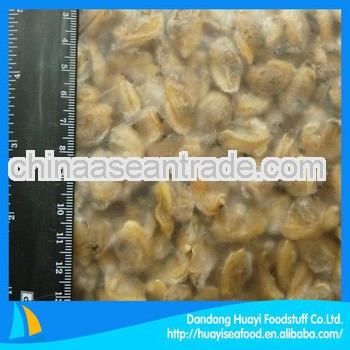 new caught short necked clam