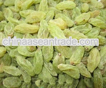 new crop green Raisins 95%green top quality