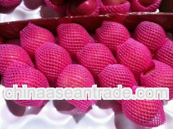 new crop yantai delicious fuji apple for exporting