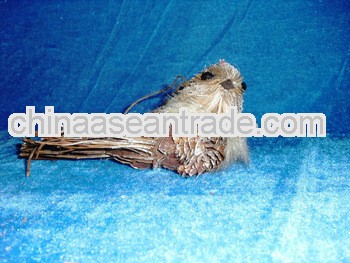 new style styrofoam bird /christmas hanging bird