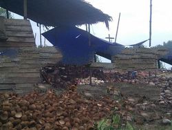 coconut shell charcoal