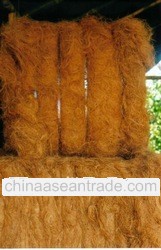 Fiber Coconut