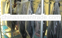 Frozen Yellowfin Tuna