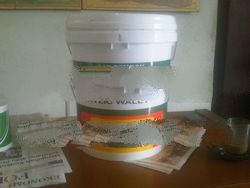 Puratex Wall paint